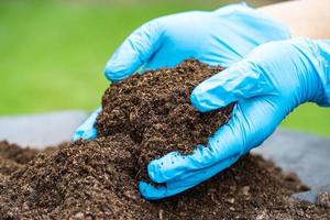 Hand holding peat moss organic matter improve soil for agriculture organic plant growing, ecology concept. photo