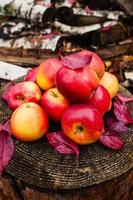 Still life with several red apples lying on an old wooden pine stump. photo