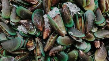 pila de verde mejillones en supermercado Listo para rebaja foto