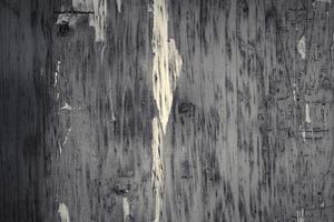 Wooden surface showing planks and grain textures in high resolution. photo