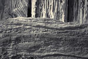 Wooden surface showing planks and grain textures in high resolution. photo