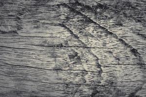 Wooden surface showing planks and grain textures in high resolution. photo