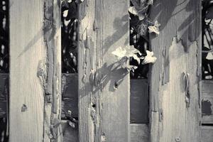 Wooden surface showing planks and grain textures in high resolution. photo