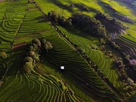 Beautiful morning view indonesia Panorama Landscape paddy fields with beauty color and sky natural light photo