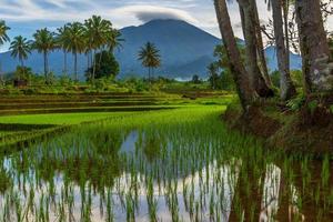 hermosa vista de la mañana indonesia panorama paisaje arrozales con color de belleza y luz natural del cielo foto