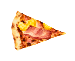 Pizza parma ham with pineapple slice. Hand drawn watercolor png