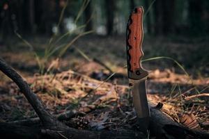 cuchillo táctico para supervivencia y protección en condiciones difíciles, bosque de ramas de árboles atascados. foto