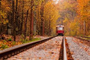 autumn forest among which goes a strange tram photo