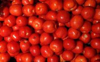 Group of red tomato background texture. photo