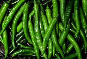 Fresh Green chili pile background. Top view. photo