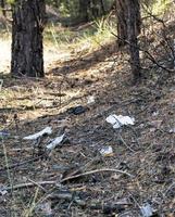 naturaleza de el bosque y un pila de basura foto