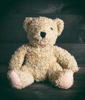 brown soft teddy bear sit photo