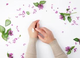 two female hands and thick cream and burgundy flowering peonies photo