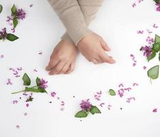 female hands and pink small flowers on a white  background photo