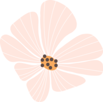 retro groovy . daisy flower png