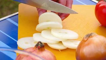 uomini affettare cipolla per barbecue, vicino su video