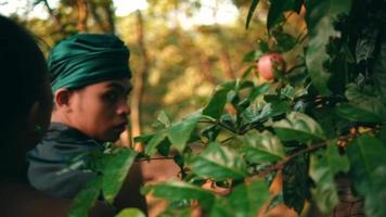 ein asiatisch Frau verbietet ein Mann zu wählen Obst im ihr Garten