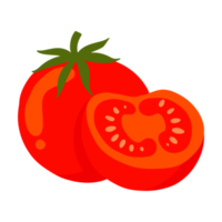 simple tomato illustration png