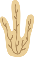 Boho design element. PNG with transparent background