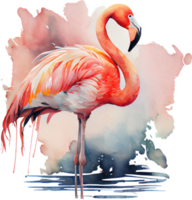 rosa flamingo vattenfärg png