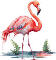 roze flamingo waterverf png