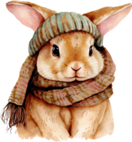 aquarelle Pâques lapin portrait illustration png