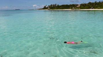 jovem lindo mulher snorkeling dentro tropical água em período de férias video