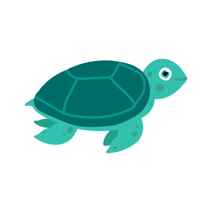 Baby Shark PNGs for Free Download