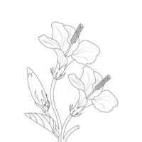 Hibiscus Flower Coloring Page And Book illustration Line Art vector