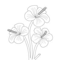 Hibiscus Flower Coloring Page vector