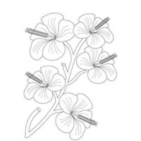 Hibiscus Flower Coloring Page And Book illustration Line Art vector