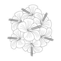 Hibiscus Flower Coloring Page vector