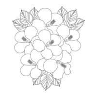 Hibiscus Flower Coloring Page vector