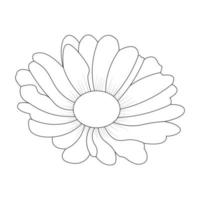 Daisy Flower Coloring Page And Book Line Art Vector