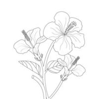 Hibiscus Flower Coloring Page And Book illustration Line Art vector