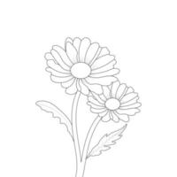 Daisy Flower Coloring Page And Book Line Art Vector