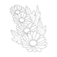 Daisy Flower Coloring Page And Book Line Art Vector