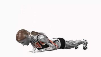 Animated Fitness Stock Video Footage for Free Download Animated Fitness Stock Video Footage for Free Download