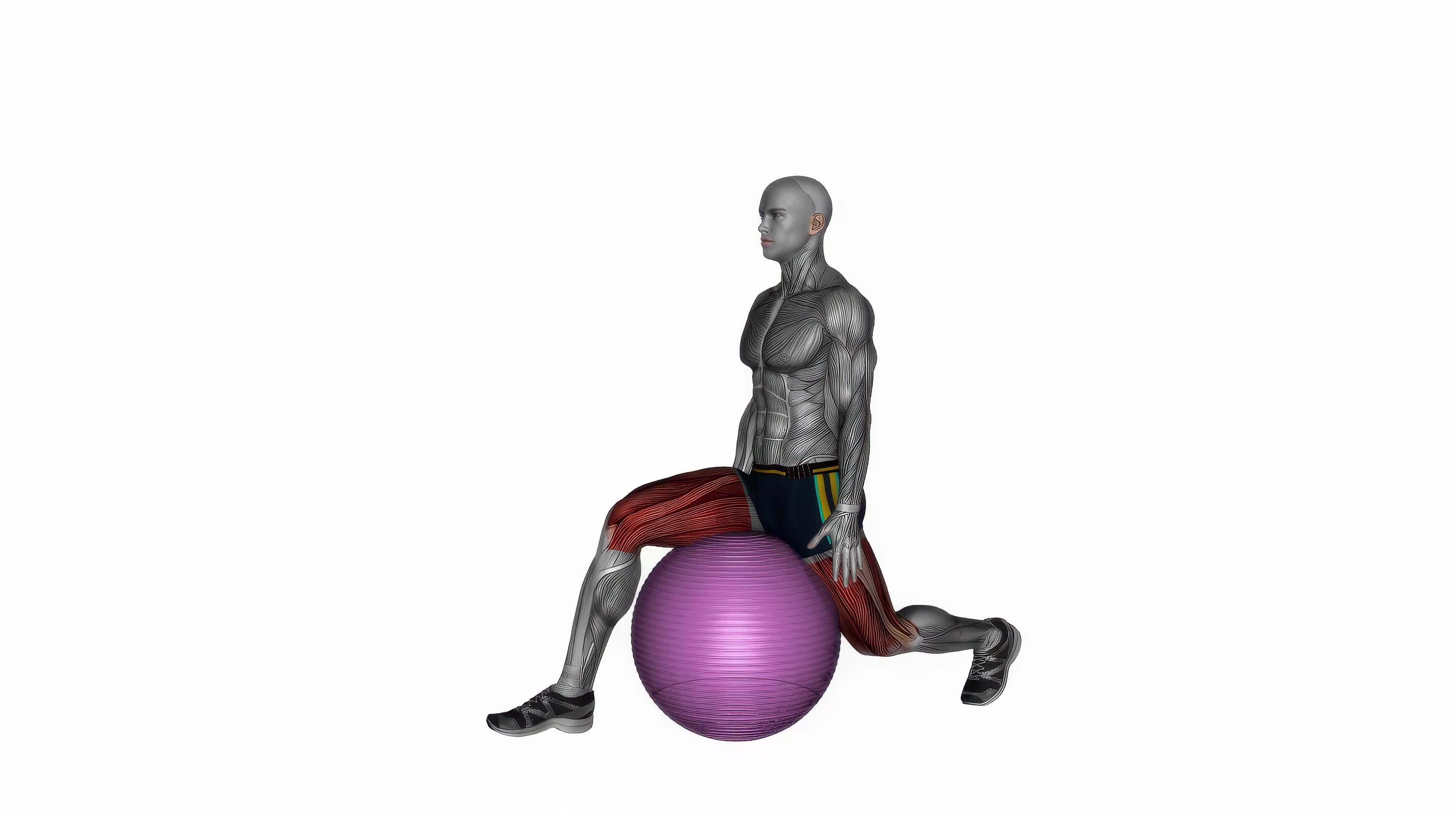 pro ball exercise bike