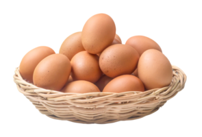 Egg PNGs for Free Download