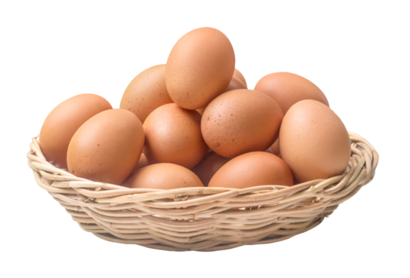 Fried Egg Top View, Animal, Background, Bird PNG Transparent Image and  Clipart for Free Download