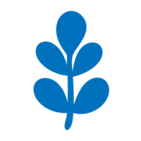 tropical blue leaf icon. png