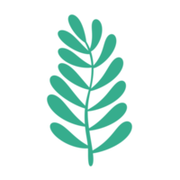 tropical Green leaf icon. png