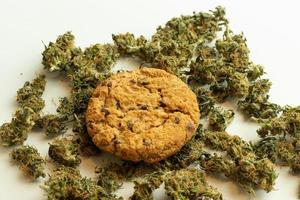 Cannabis cookie on marijuana buds top view. Cannabis product edible photo