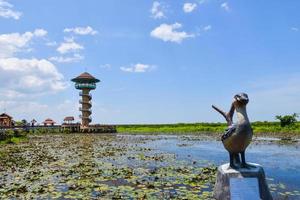 bird  in a lake in Phatthalung.south Thatiland photo