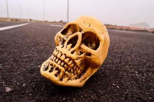 cráneo en el camino foto