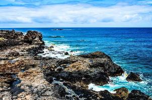 Seascape in summer photo