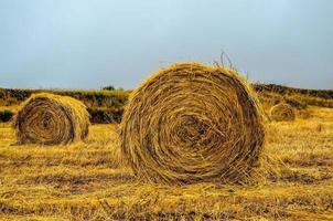 Hays after harvest photo