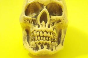 Skull on yellow background photo