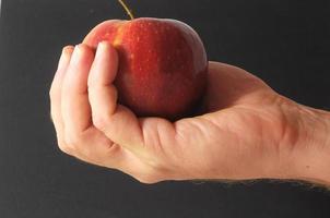 Hand holds red apple photo